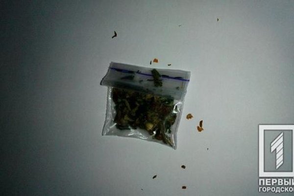 Darknet как войти