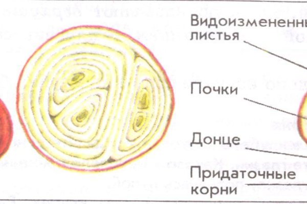 Кракен стор