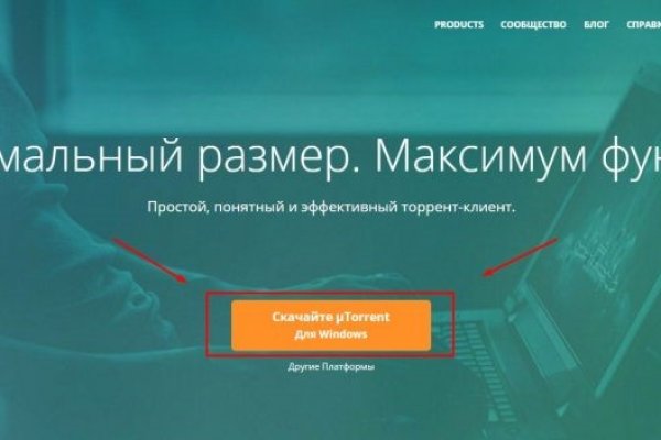 Ссылка на кракена для тора
