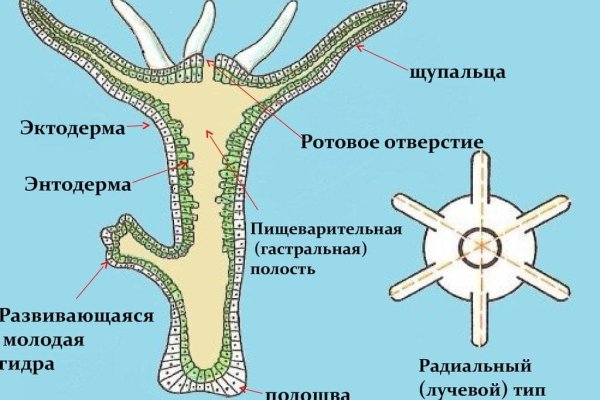 Пользователь не найден кракен даркнет